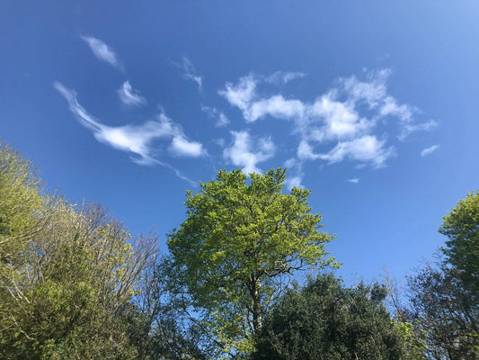 May-at-home-Lockdown-2020 Louella Jewellery