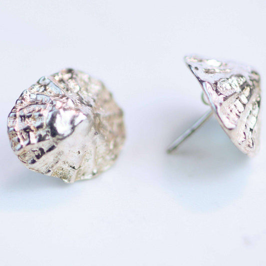 Limpet shell, stud earrings | Earrings | Louella Jewellery