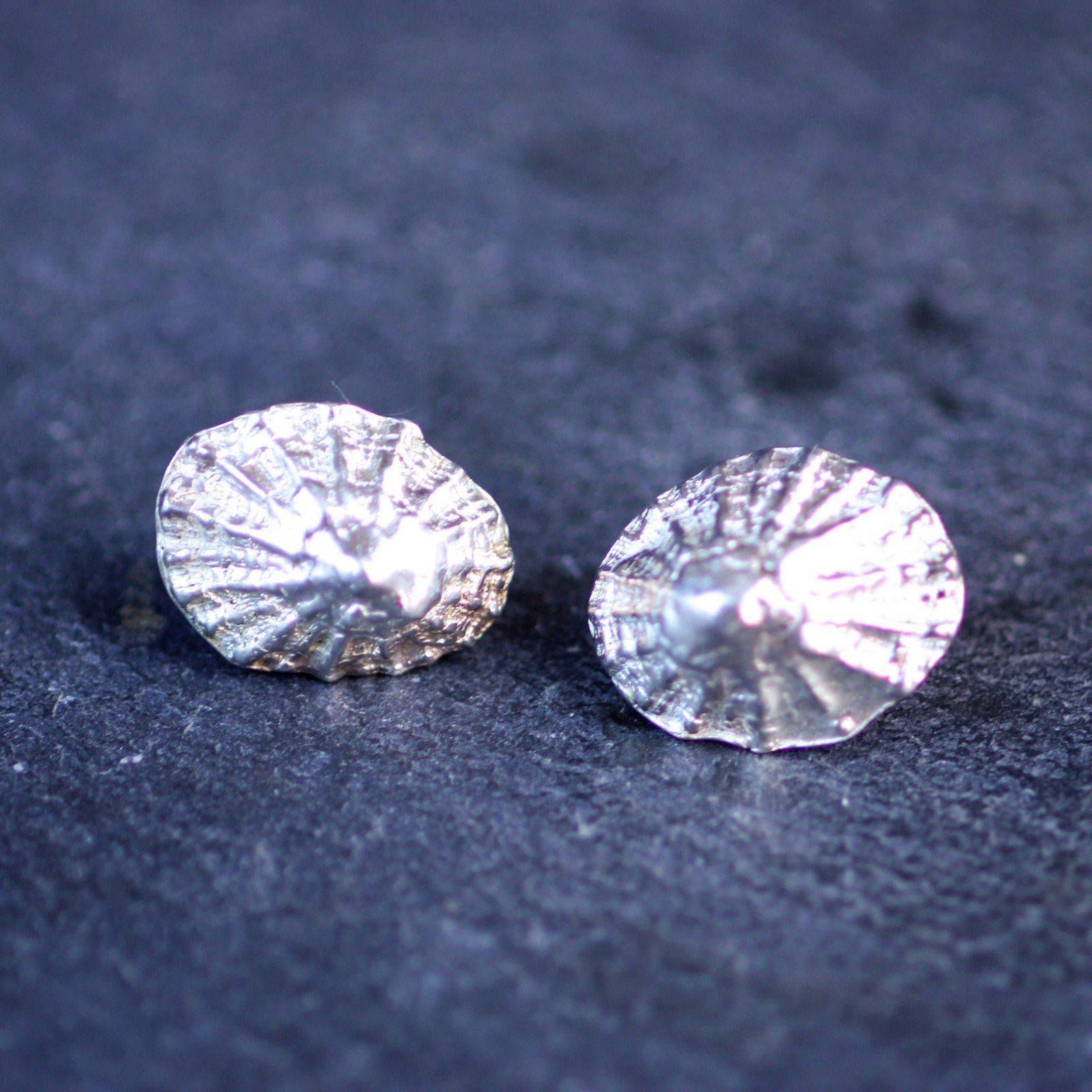 Limpet shell, stud earrings | Earrings | Louella Jewellery